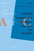 Subband Compression of Images: Principles and Examples (eBook, PDF)