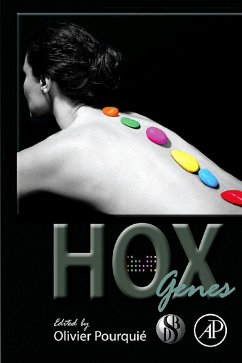 HOX Genes (eBook, ePUB)