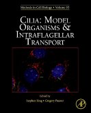 Cilia: Model Organisms and Intraflagellar Transport (eBook, ePUB)