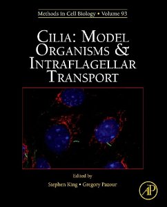 Cilia: Model Organisms and Intraflagellar Transport (eBook, ePUB)