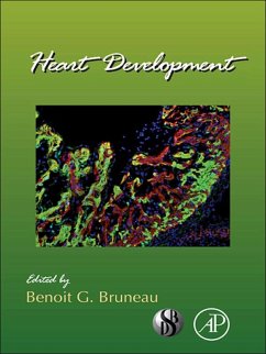 Heart Development (eBook, ePUB)