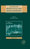 International Review of Cell and Molecular Biology (eBook, ePUB)