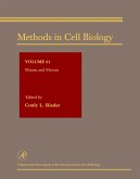 Mitosis and Meiosis (eBook, PDF)