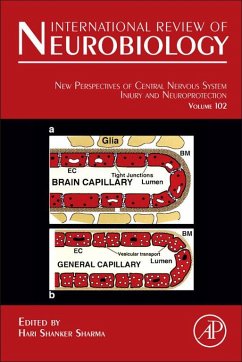 New Perspectives of Central Nervous System Injury and Neuroprotection (eBook, ePUB)