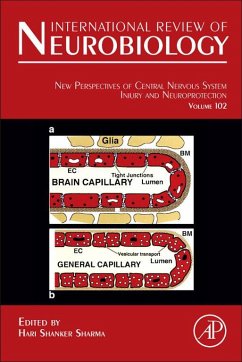 Cover New Perspectives of Central Nervous System Injury and Neuroprotection (eBook, ePUB)