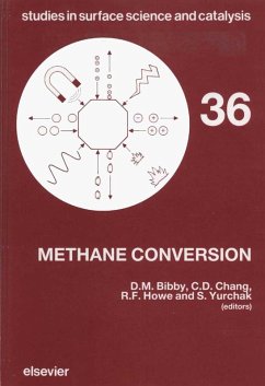 Cover Methane Conversion (eBook, PDF)