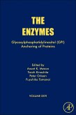 Glycosylphosphatidylinositol (GPI) Anchoring of Proteins (eBook, ePUB)