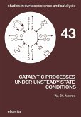 Catalytic Processes Under Unsteady-State Conditions (eBook, PDF)
