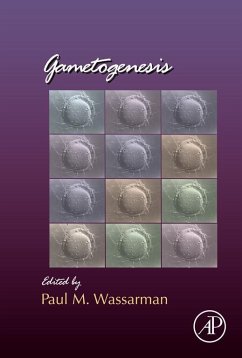 Gametogenesis (eBook, ePUB)