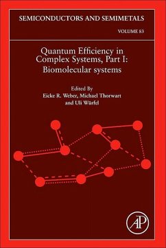 Quantum Efficiency in Complex Systems, Part I (eBook, ePUB)