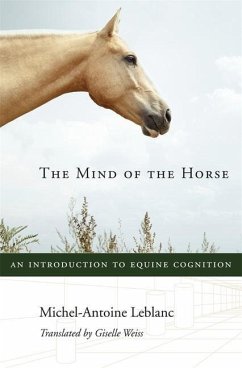 The Mind of the Horse - Leblanc, Michel-Antoine