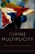 Divine Multiplicity - Bild 1