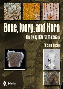 Bone, Ivory, and Horn: Identifying Natural Materials - Locke, Michael