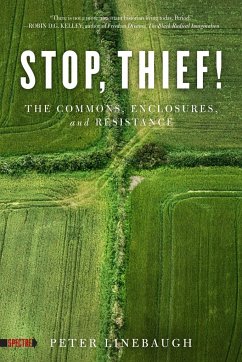 Stop, Thief! - Linebaugh, Peter