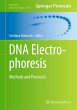 DNA Electrophoresis - Bild 1