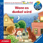 Wenn es dunkel wird / Wieso? Weshalb? Warum? Junior Bd.28 (1 Audio-CD)