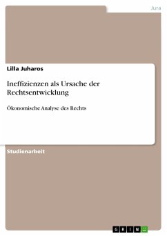 Ineffizienzen als Ursache der Rechtsentwicklung (eBook, PDF) - Juharos, Lilla