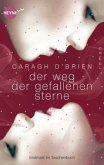 Der Weg der gefallenen Sterne / Gaia Stone Trilogie Bd.3