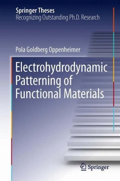 Electrohydrodynamic Patterning of Functional Materials - Oppenheimer, Pola Goldberg