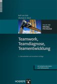 Teamwork, Teamdiagnose, Teamentwicklung (eBook, PDF)