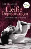 Heiße Begegnungen (eBook, ePUB)