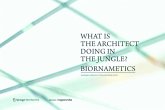 What is the architect doing in the jungle? Biornametics.