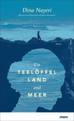 Ein Teelöffel Land und Meer - Nayeri, Dina