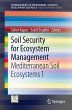 Soil Security for Ecosystem Management - Bild 1