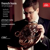 French Horn In Prag
