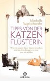 Tipps von der Katzenflüsterin