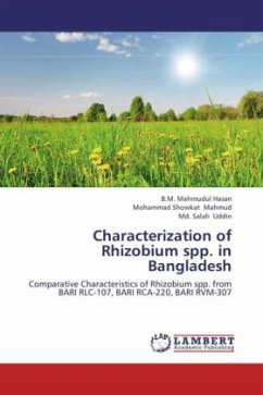 Characterization of Rhizobium spp. in Bangladesh