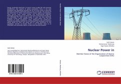 Nuclear Power in