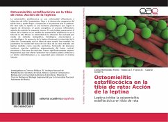 Osteomielitis estafilocócica en la tibia de rata: Acción de la leptina