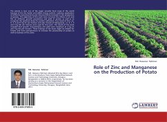 Role of Zinc and Manganese on the Production of Potato