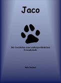 Jaco (eBook, ePUB)