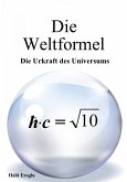 Die Weltformel (eBook, ePUB)