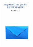 ausgebrannt und gefeuert - Die Kündigung (eBook, ePUB)