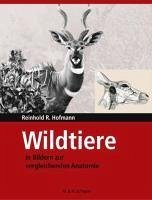 Wildtiere in Bildern zur Vergleichenden Anatomie (eBook, PDF) - Hofmann, Reinhold R.