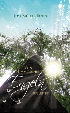 Cover Von himmlischen Engeln begleitet (eBook, ePUB)