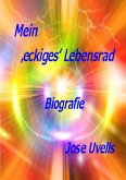 Mein 'eckiges' Lebensrad (eBook, ePUB)