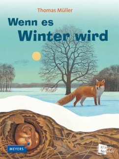 Wenn es Winter wird - Müller, Thomas