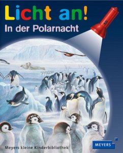In der Polarnacht / Licht an! Bd.22