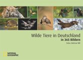 Wilde Tiere in Deutschland in 365 Bildern
