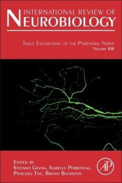 Tissue Engineering of the Peripheral Nerve