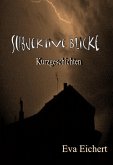 Subjektive Blicke (eBook, ePUB)