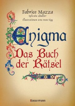 Enigma - Das Buch der Rätsel - Mazza, Fabrice; Lhullier, Slyvain