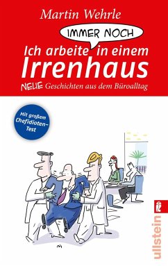 Ich arbeite immer noch in einem Irrenhaus - Wehrle, Martin