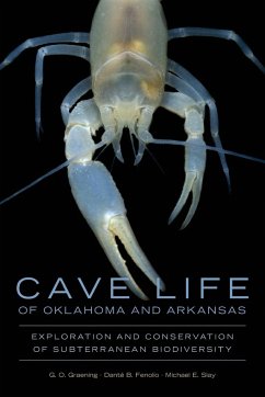 Cave Life of Oklahoma and Arkansas