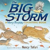 The Big Storm: A Very Soggy Counting Book