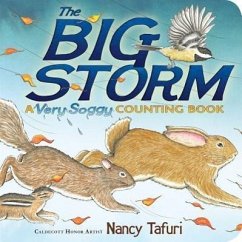 The Big Storm: A Very Soggy Counting Book - Tafuri, Nancy